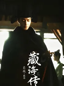 藏海传：与妻书