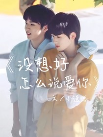 没想好怎么说爱你