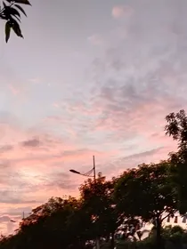 黄毛豹与红毛虎