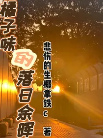 橘子味的落日余晖