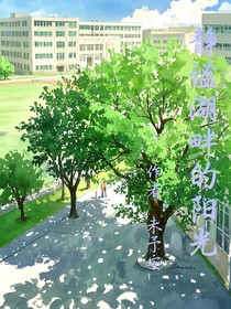 静谧湖畔的阳光