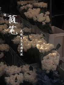 随笔我的名字充满遗憾
