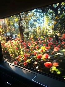 写作素材空间