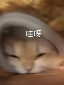 穿越后我只想吃美食