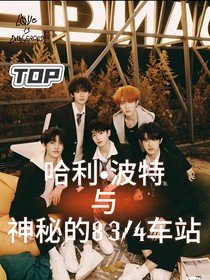 TOP：哈利波特与神秘的车站