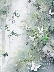 斗龙——先知
