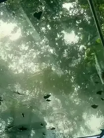 他向来怕疼