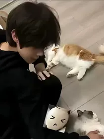 他说我们只是朋友