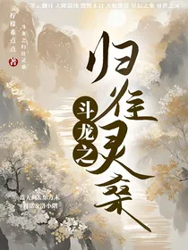 斗龙之归往灵桑