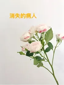 消失的病人-d353