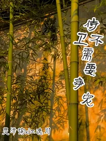 侍卫不需要争宠
