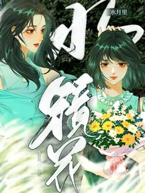 镜花水月里