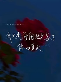 惊封同人（丹六，塔柳，飓风蝴蝶等）