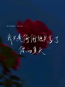惊封同人（丹六，塔柳，飓风蝴蝶等）