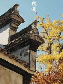 暗恋成殇，时光里的你