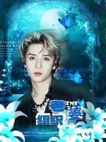 TNT：老婆组织