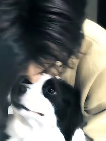 命运的沉沦