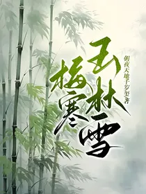 梅寒玉林雪