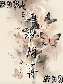 遇湫屿苒