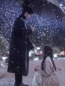 炙热的郁金香
