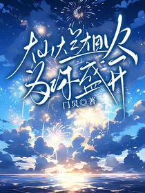 灿烂烟火为你盛开