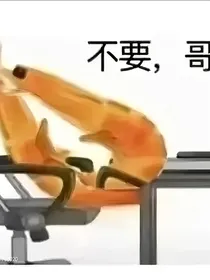 摄殓——多年后的重逢