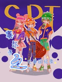 赛尔号之亡妻回忆录