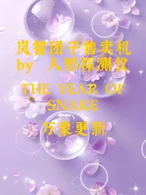 岚智团子售卖机
