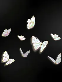 证词无声言