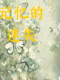 记忆的迷失