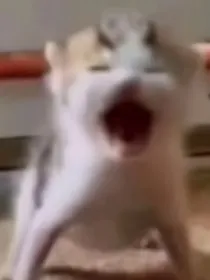 全能职业