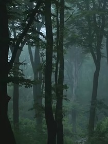 剑一与魔法