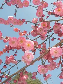 再听风说我爱你