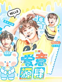 韩娱：爱意源肆