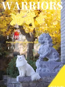 寻羽探密
