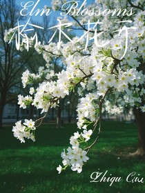 榆木花开