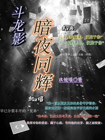 斗龙影—暗夜同辉