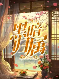 斗龙战士之黑暗归属