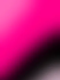 樱花树下的见面