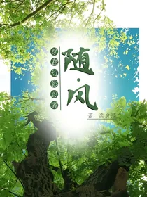 幻影忍者：随风