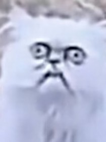 真短篇小说