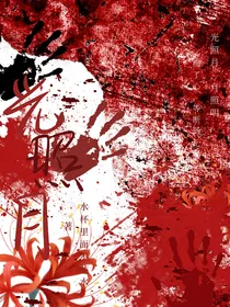 光照月