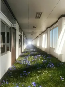 我在镜像世界找梦核