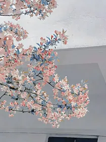 池中竹