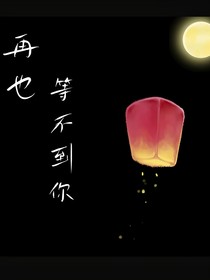 再也等不到你