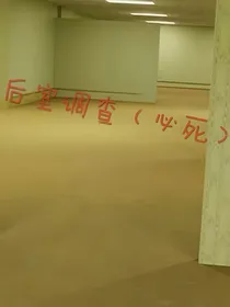 后室调查小组