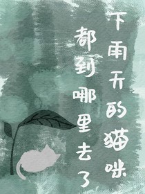 下雨天的猫咪都到哪里去了