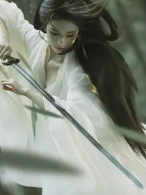 云之羽：刻徵有情