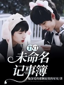 TNT：未命名记事簿