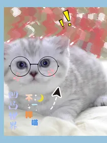 凹凸世界：不一样的喵